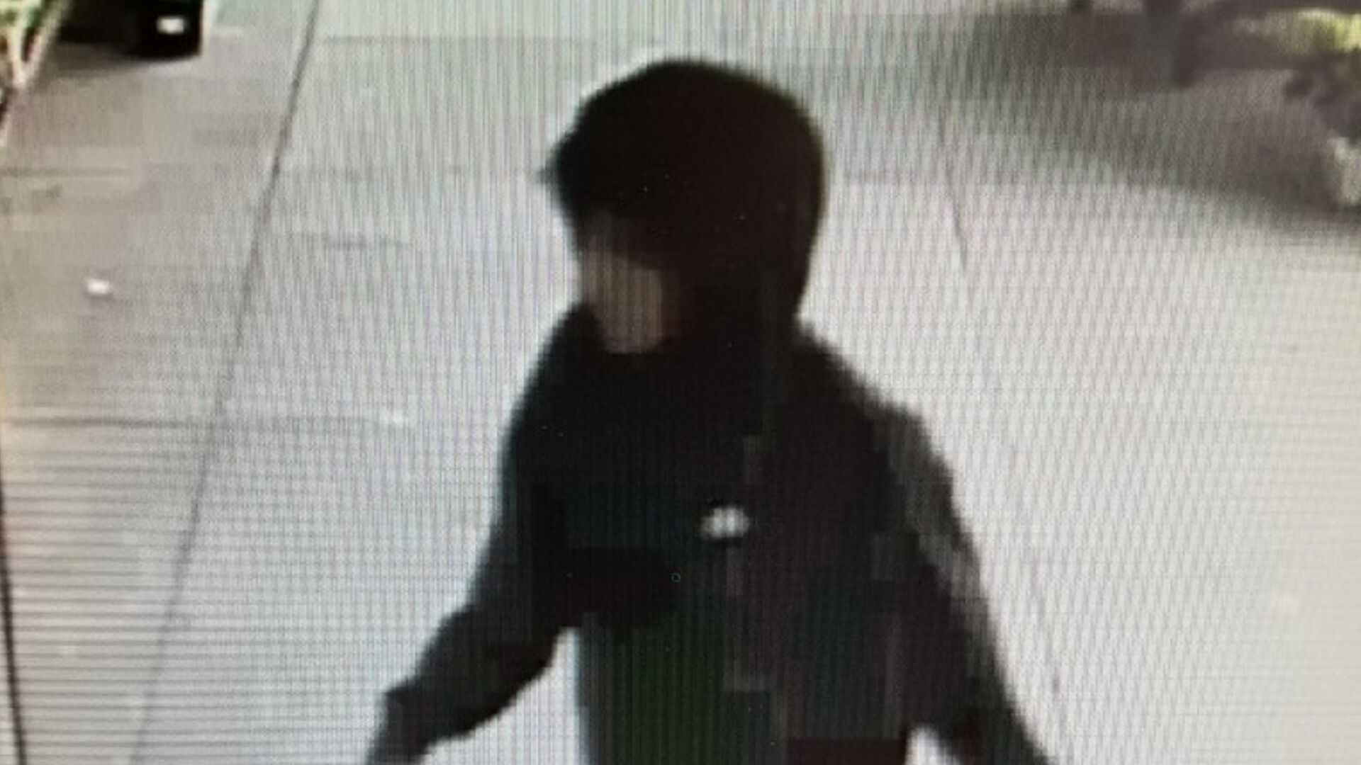 Alleged lookout in theft of beer at Lower Saucon Giant